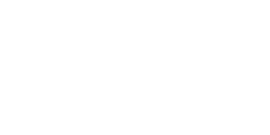 API Engine + SE Logo - White - 300x150 px - PNG Transparent